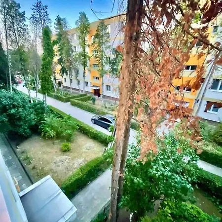 Lucas's Cozy Cluj-Napoca